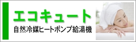 �������塼��