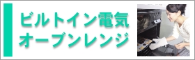 �ӥ�ȥ��󿩴��������絡